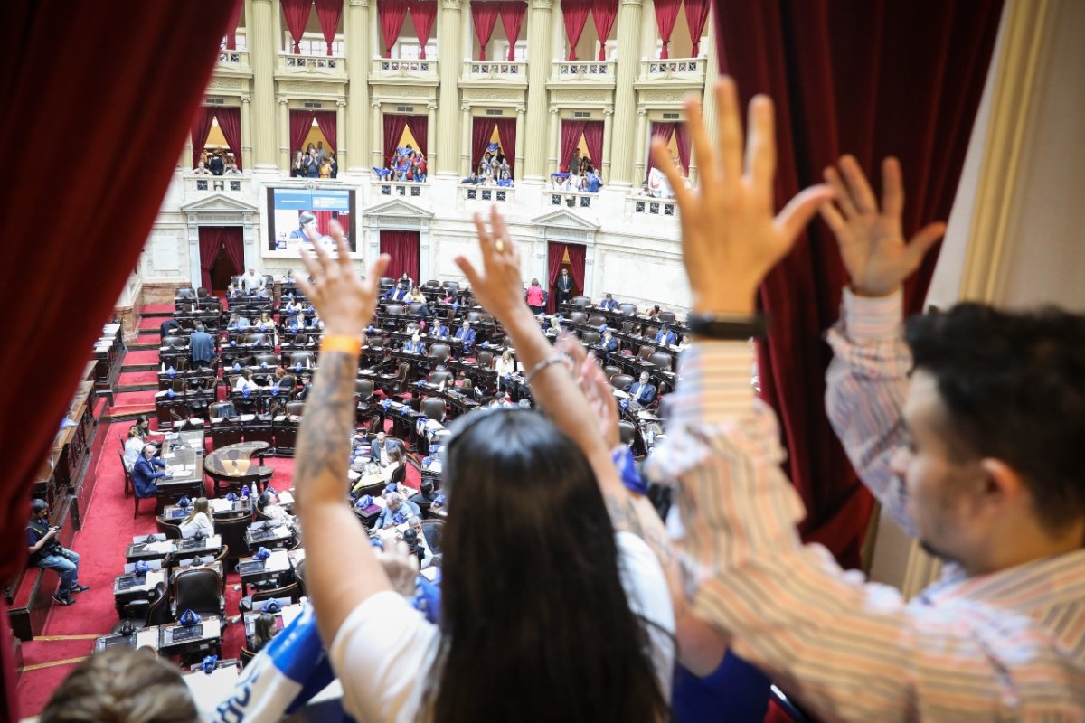 Histórico: el Senado aprobó la ley de Lengua de Señas