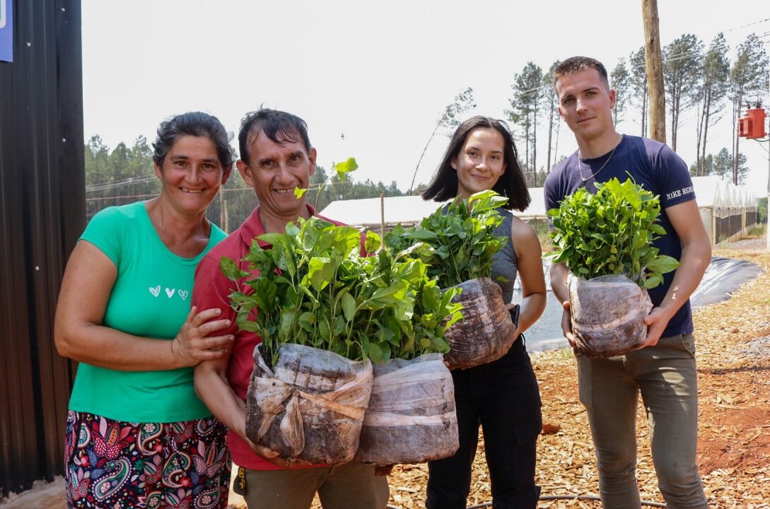 Más frutales para la zona Centro: productores recibieron plantines de…