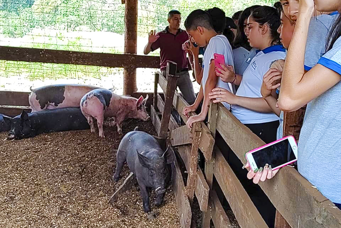 La Escuela Agrotécnica de San Antonio impulsa la ganadería porcina