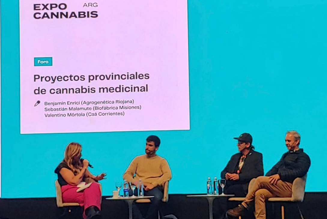 Expo Cannabis 2023: Misiones lidera la producción de aceite medicinal…