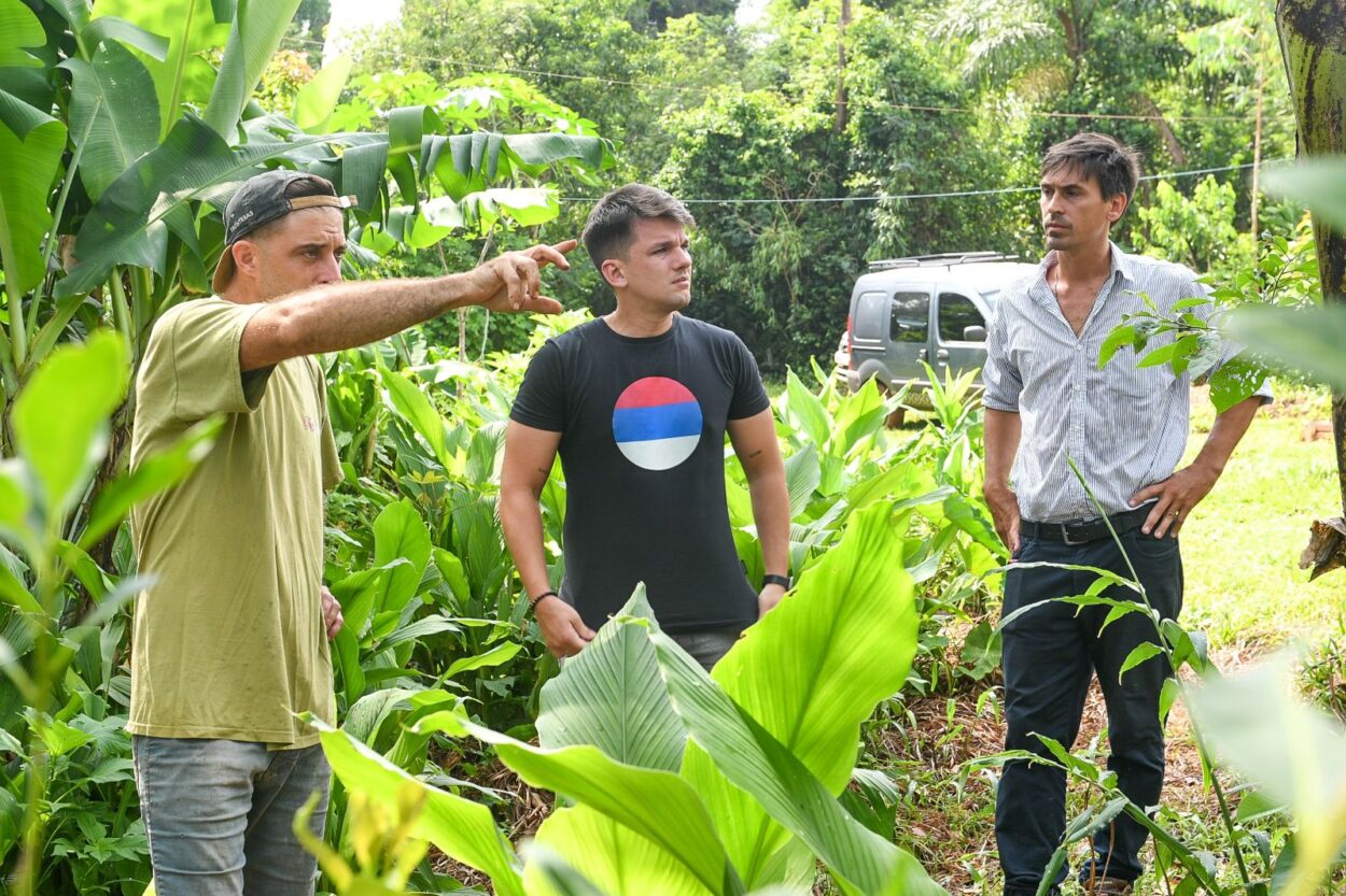 Agroecología en El Soberbio: regenerar el suelo es fortalecer la…